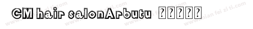 3CM hair salonArbutu字体转换